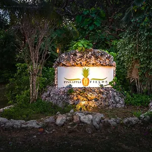 Appart hôtel Pineapple Fields, Governor S Harbour