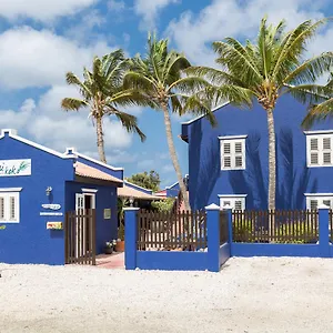 Blachi Koko Playa